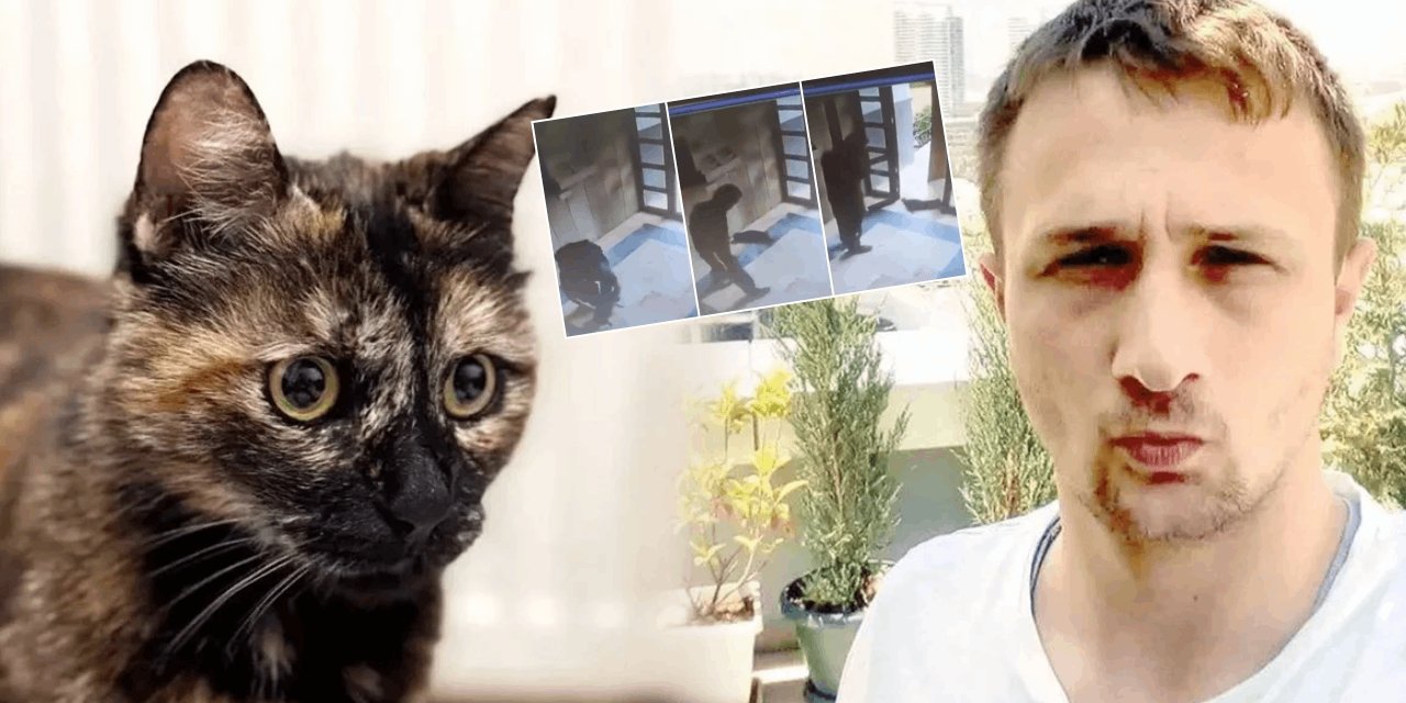 'Cezve' isimli kediyi işkence ederek öldüren Burak Alan'a verilen ceza belli oldu