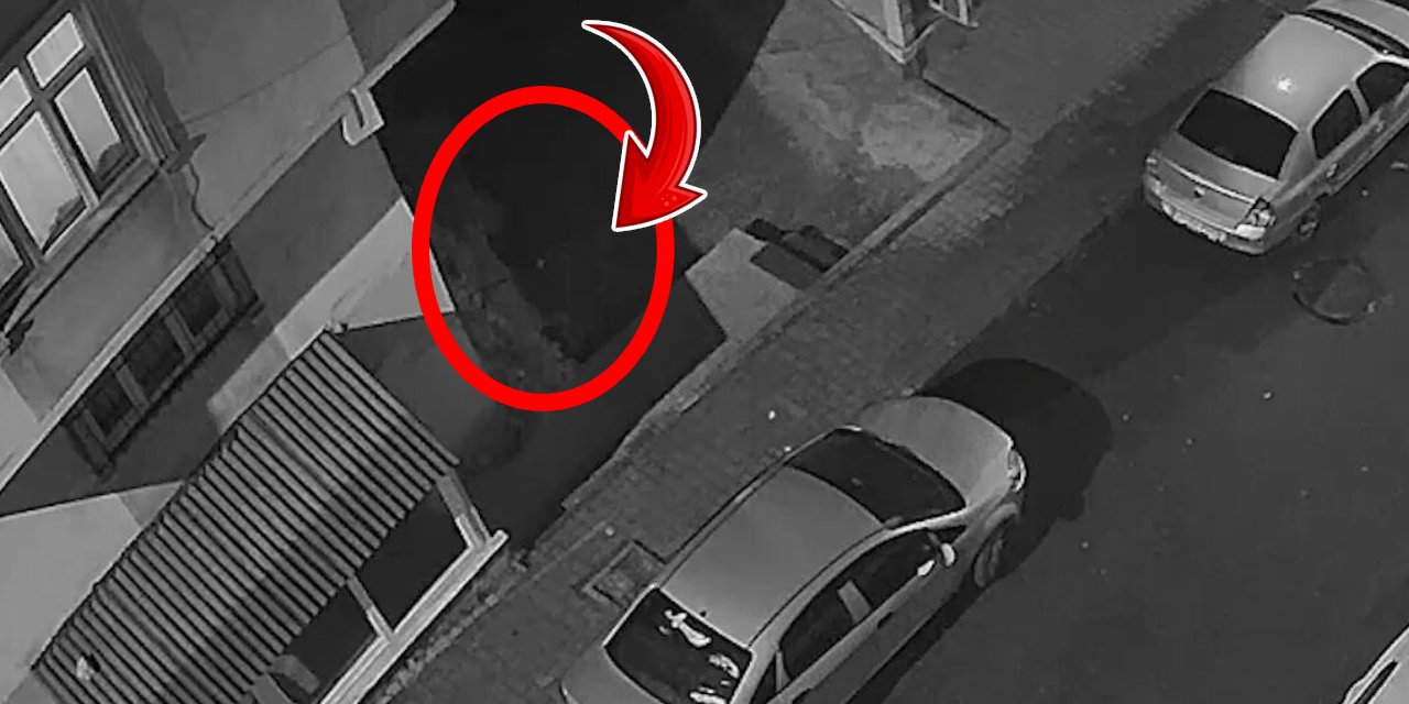 19 yaşındaki kadın eşiyle tartıştıktan sonra balkondan düştü: Kocanın ifadesi ortaya çıktı