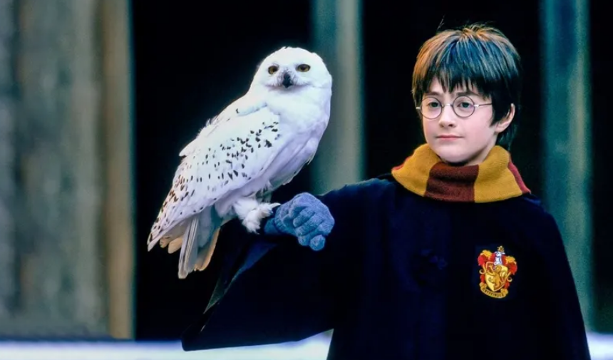 'Harry Potter' hayranlarına müjde: Dizi için oyuncu seçmeleri başlıyor