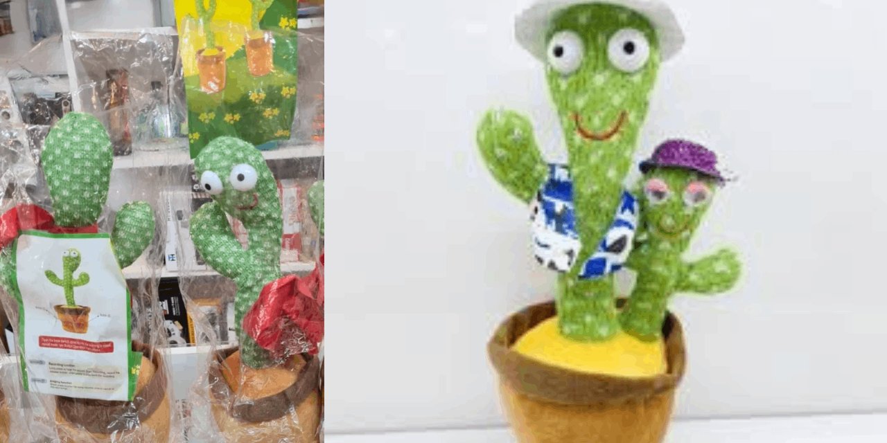 Ticaret Bakanlığı "rol yapan kaktüs" oyuncağını toplatma kararı aldı! Sosyal medyada çok popüler
