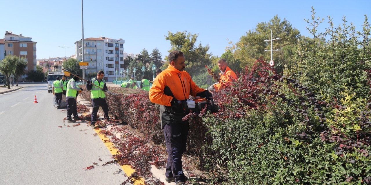 Eskişehir’de parklarda budama çalışmaları hız kesmeden sürüyor