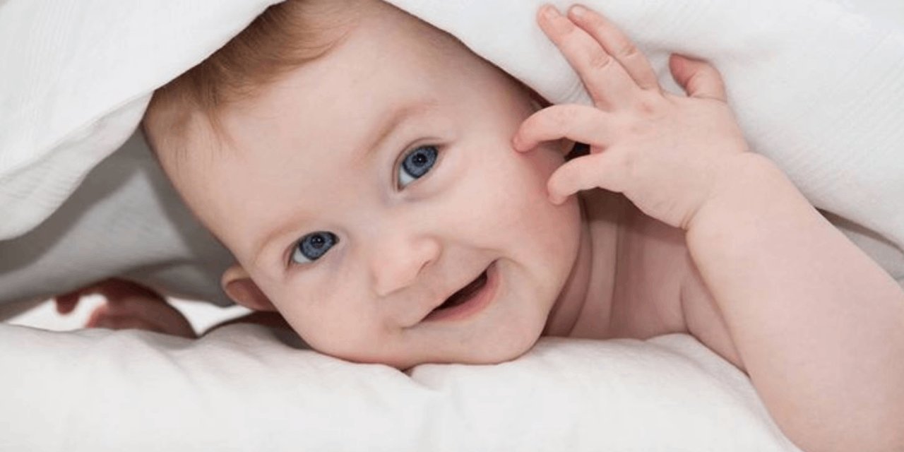 Çocuklar için ücretsiz olacak! Meclis'e sunuldu