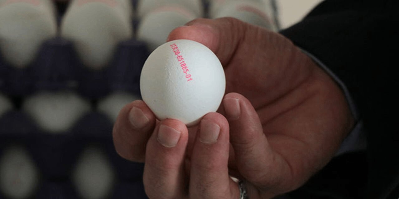 Yumurtaya zam yapılacak mı sorusuna yanıt geldi