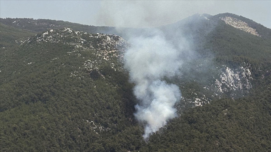 Muğla Milas’ta orman yangını!