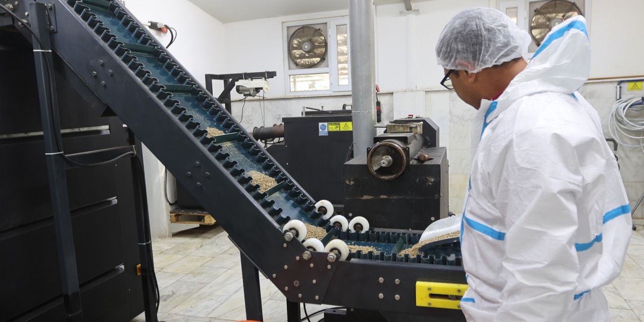 Muğla Büyükşehir Belediyesi’nden sokak hayvanlarına destek: 42 ton mama üretildi