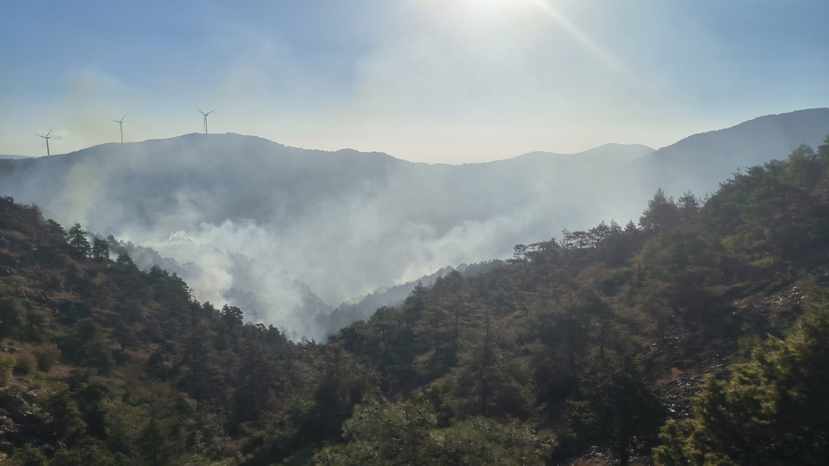 Hatay'da orman yangını: Söndürme çalışması devam ediyor