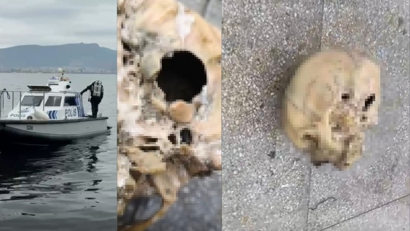 İzmir'de şok olay! Balık tutarken ağlarına insan kafatası takıldı