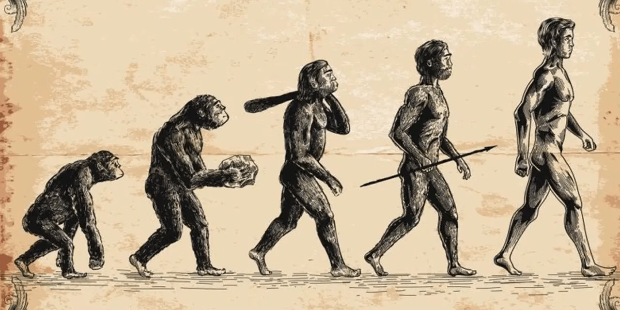 4,4 milyon yıllık fosil, insan ve maymun arasındaki kayıp halka olabilir mi? Bilim insanlarından açıklama