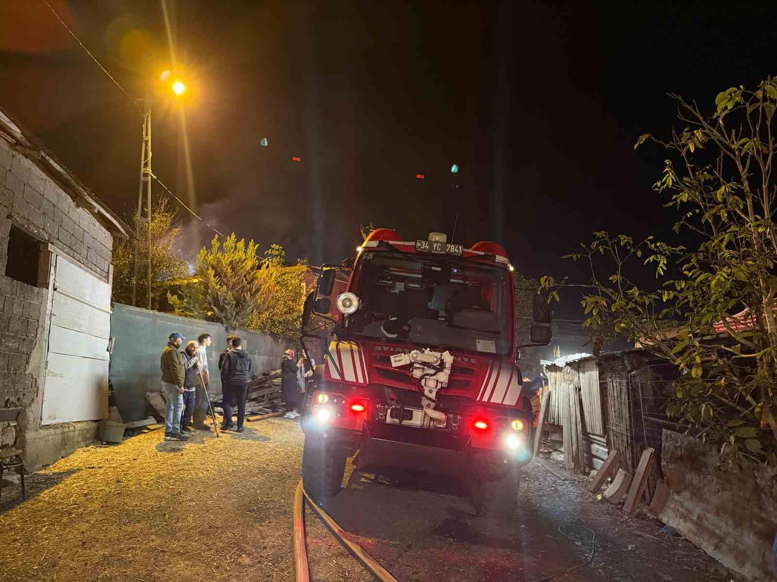 Çatalca'da yangın: 4 hayvan telef