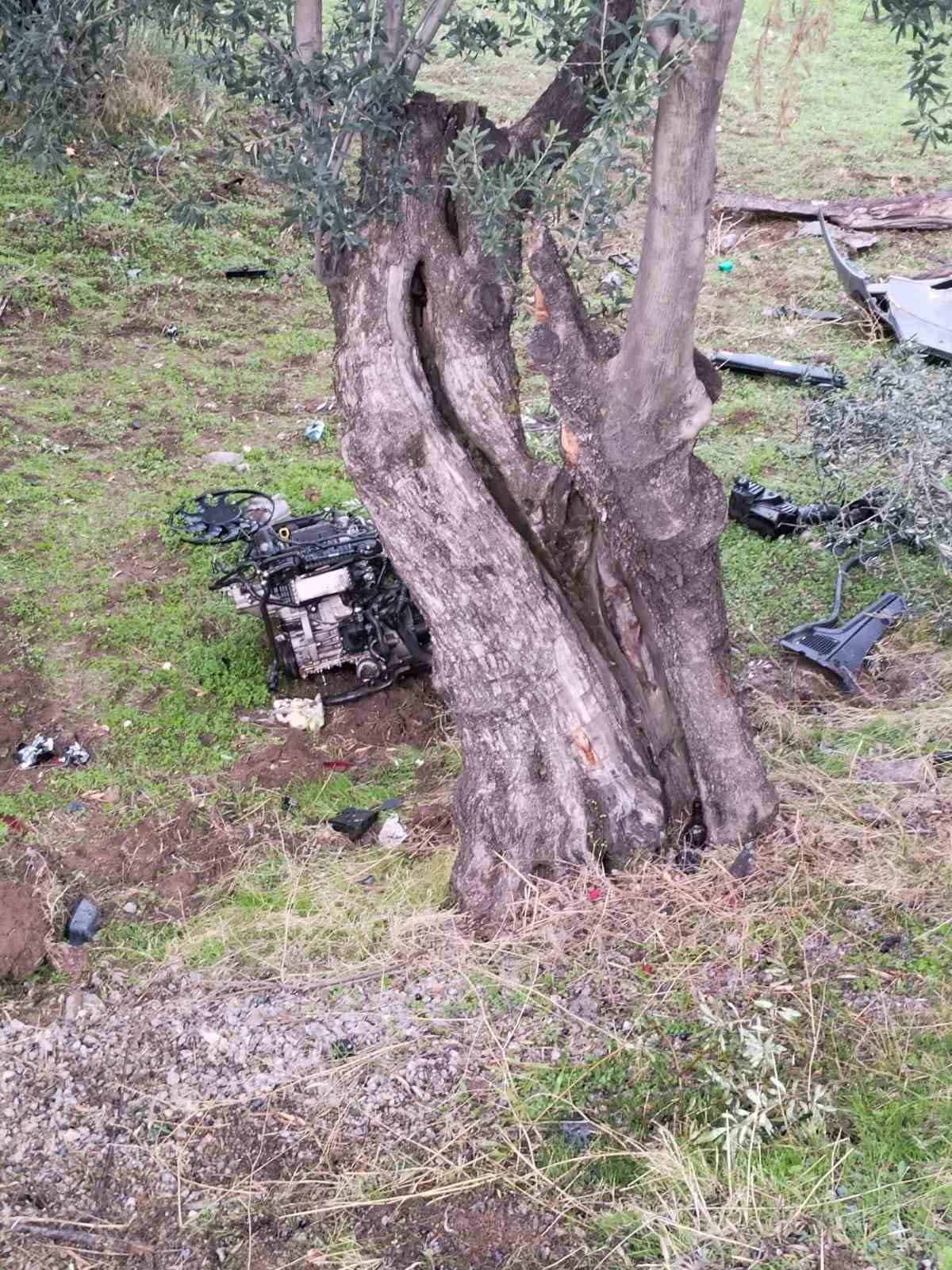 Otomobil zeytin bahçesine düştü: 2 yaralı