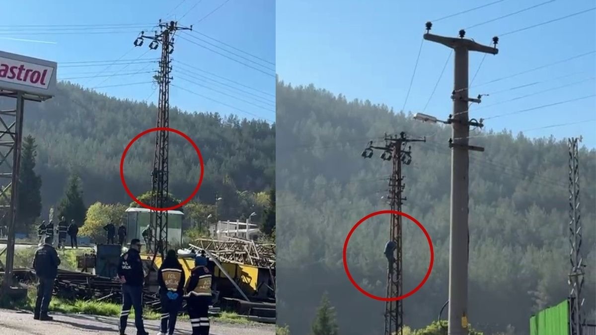 Trafik cezasına sinirlendi: Elektrik direğine tırmandı