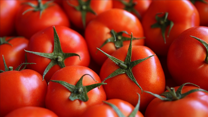 Antalya ekim endeksleri açıklandı: Domates ve sebzede fiyat düştü