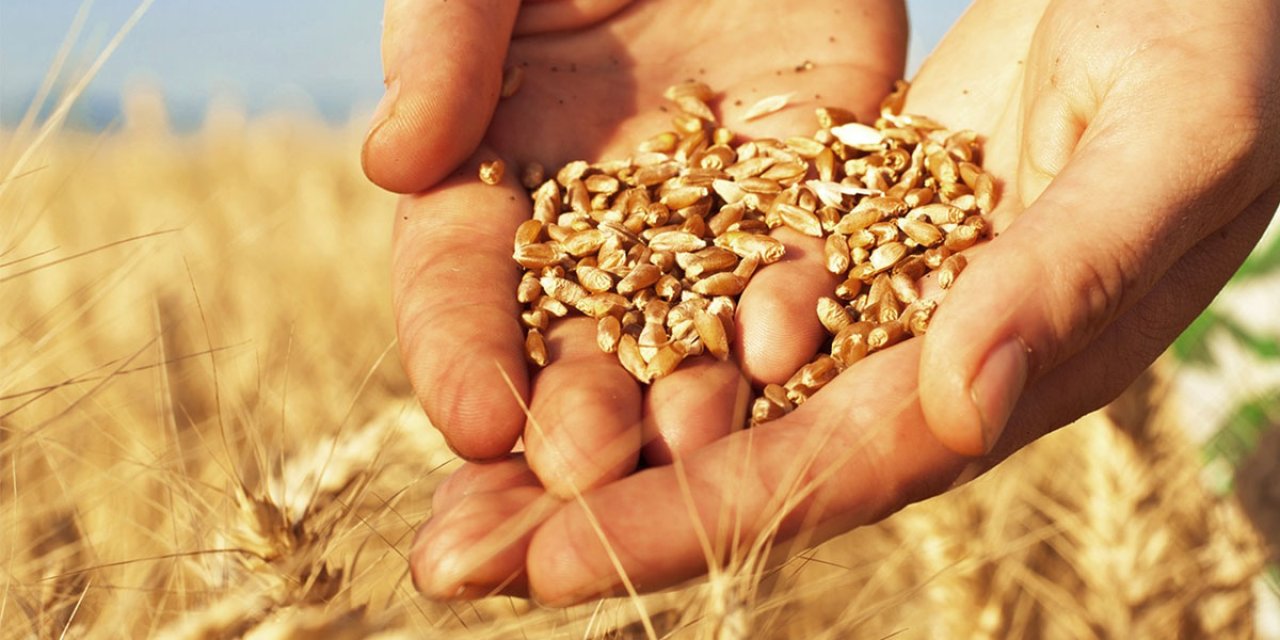 Tohum casusluğu: Çin, yabancı ajanların genetik veri ve tohum çaldığını açıkladı
