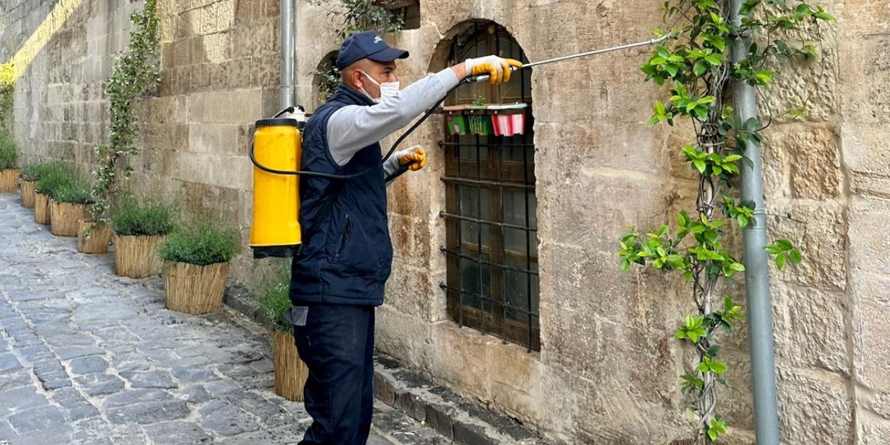 Gaziantep Büyükşehir Belediyesi üvezle mücadele çalışmalarını yoğunlaştırdı