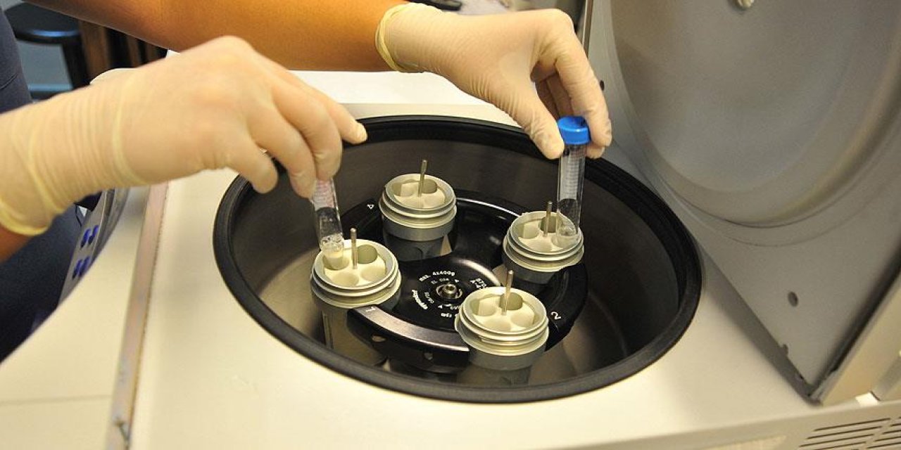 Tüp bebek kliniğinin hatası, 26 yıl sonra ortaya çıktı: Yanlış donörle doğdu