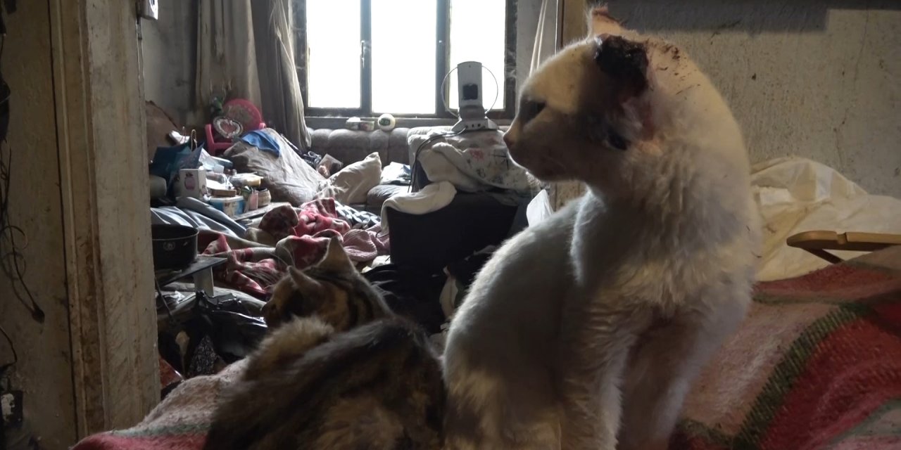 Kötü koku ihbarı gerçeği ortaya çıkardı! Evden 2 kamyon dolusu çöp çıktı