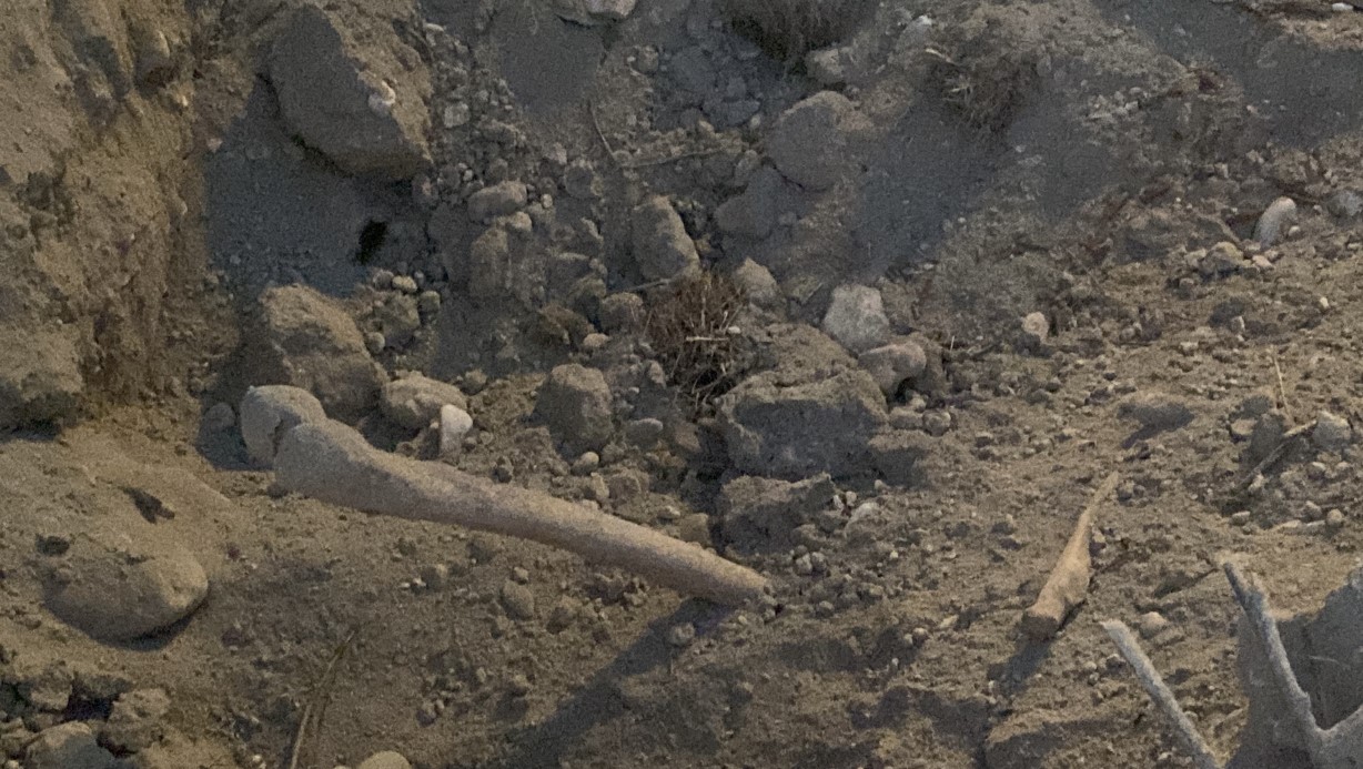 Bursa'da belediye kazısında insan kemikleri bulundu