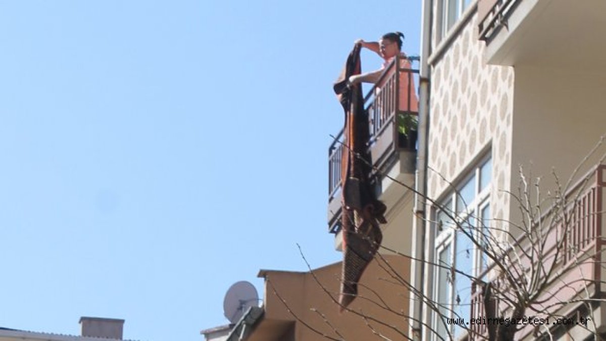 Apartmanda oturanlar dikkat: Halı silkeledi 3 ay hapis cezası verildi