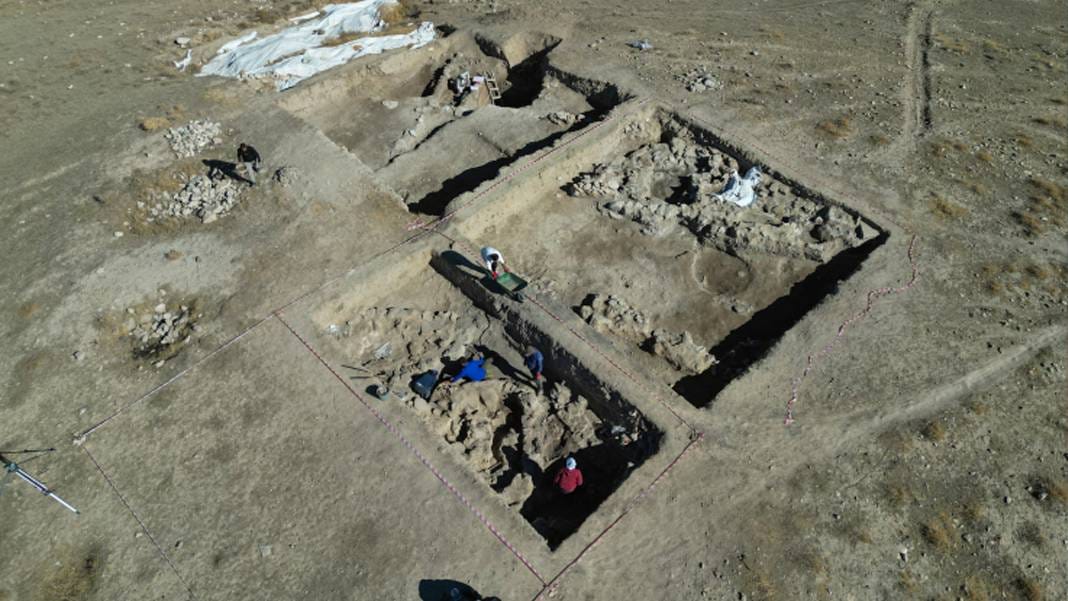 Van'da 5 bin yıllık arpa taneleri bulundu