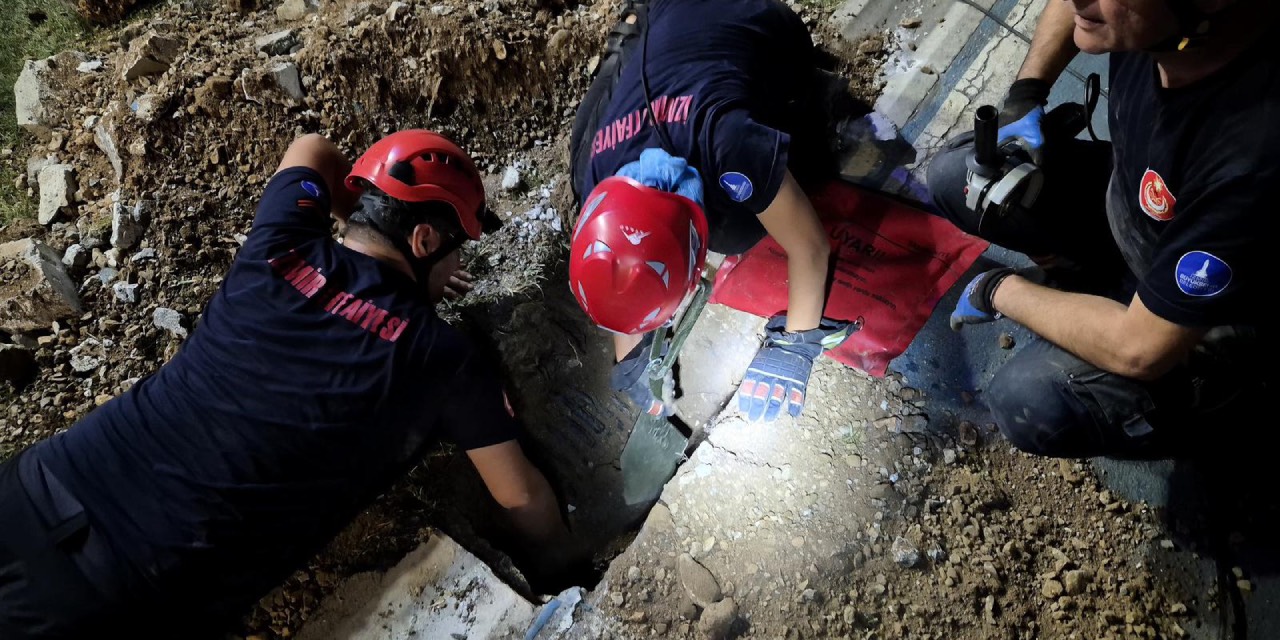 İzmir'de mazgala düşen köpek ve yangında mahsur kalan kediler kurtarıldı