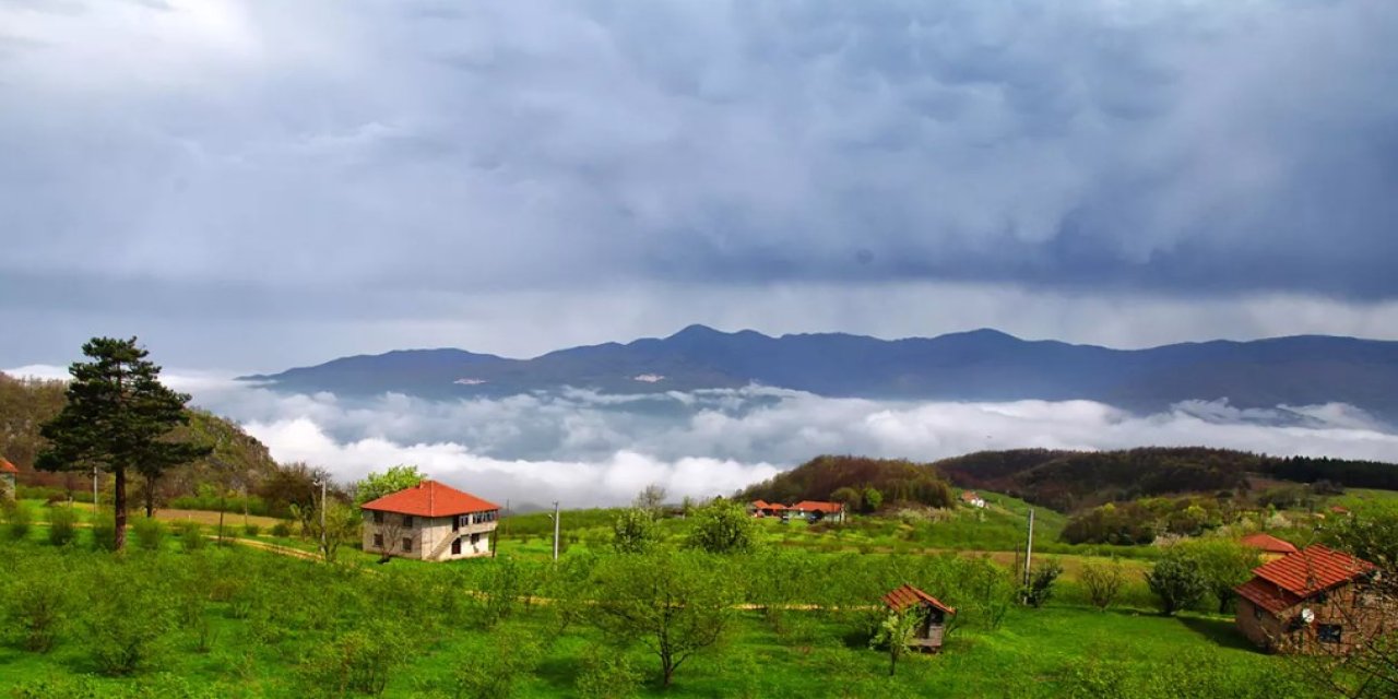 Kıbrıscık yok olma tehlikesiyle karşı karşıya: Başkan Tekemen gözyaşlarını tutamadı