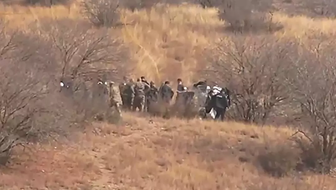 Gürcistan'da düşen Türk uçağının kara kutusuyla ilgili yeni gelişme