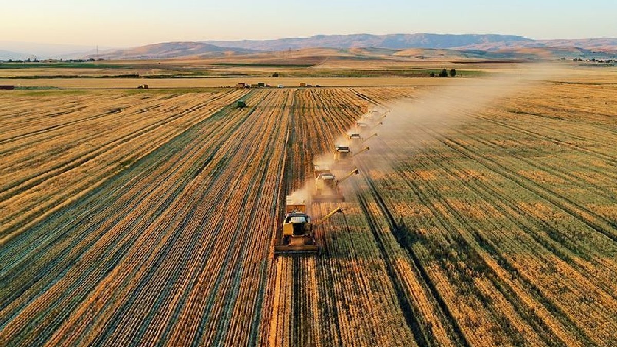 Arsa ve tarlada reel kayıp: 70 ilde fiyatlar enflasyonun gerisinde kaldı