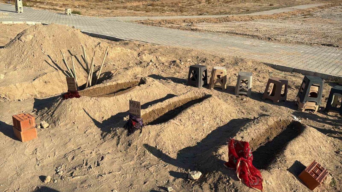 Böcek ailesi yan yana defnedildi