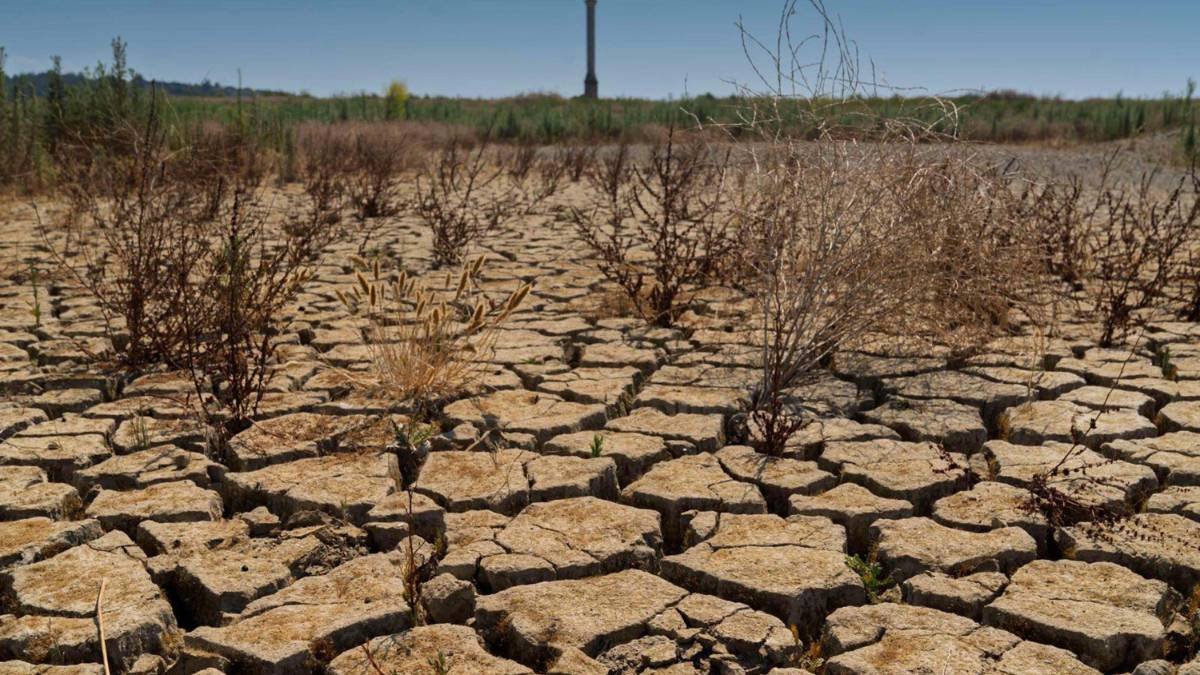 İstanbul ve Diyarbakır 2050, Adana ve Mersin 2030’da kuraklık riskiyle karşı karşıya