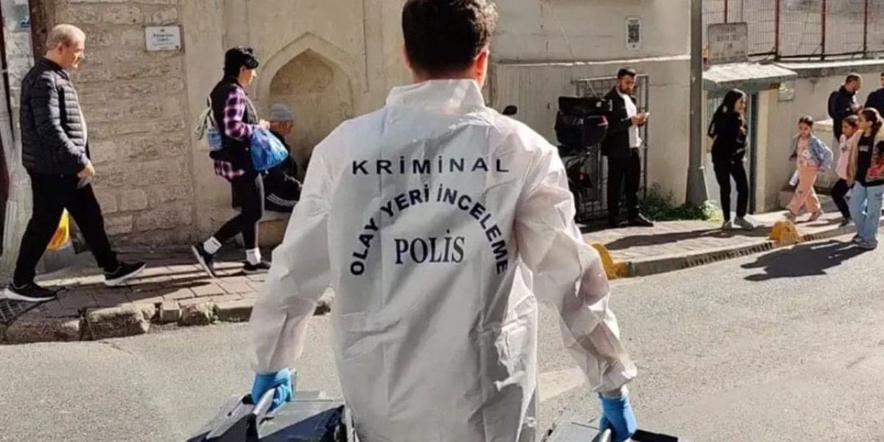 Böcek ailesinin ölümü sonrası gözler ilaçlama sektöründe: Kaçak pazarda her üç firmadan biri ruhsatsız