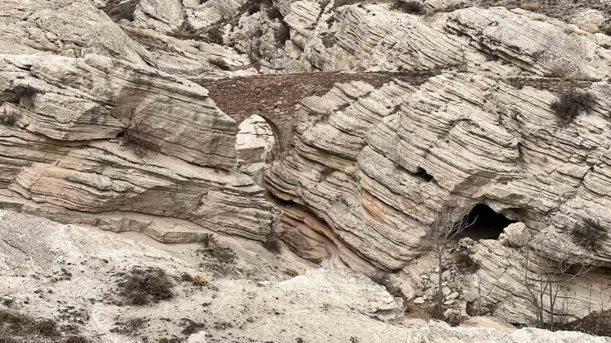 Türkiye'de yalnızca 2 tane bulunuyor: Hem görüntüsü hem adı korkunç