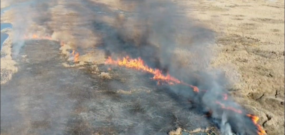 Van'da sazlık alanda yangın