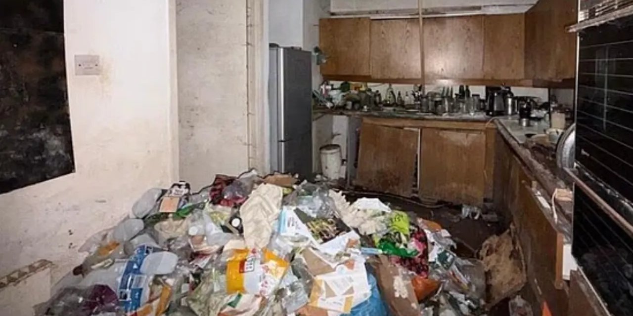 Çöp evi için internete 45 milyon TL'lik ilan açtı