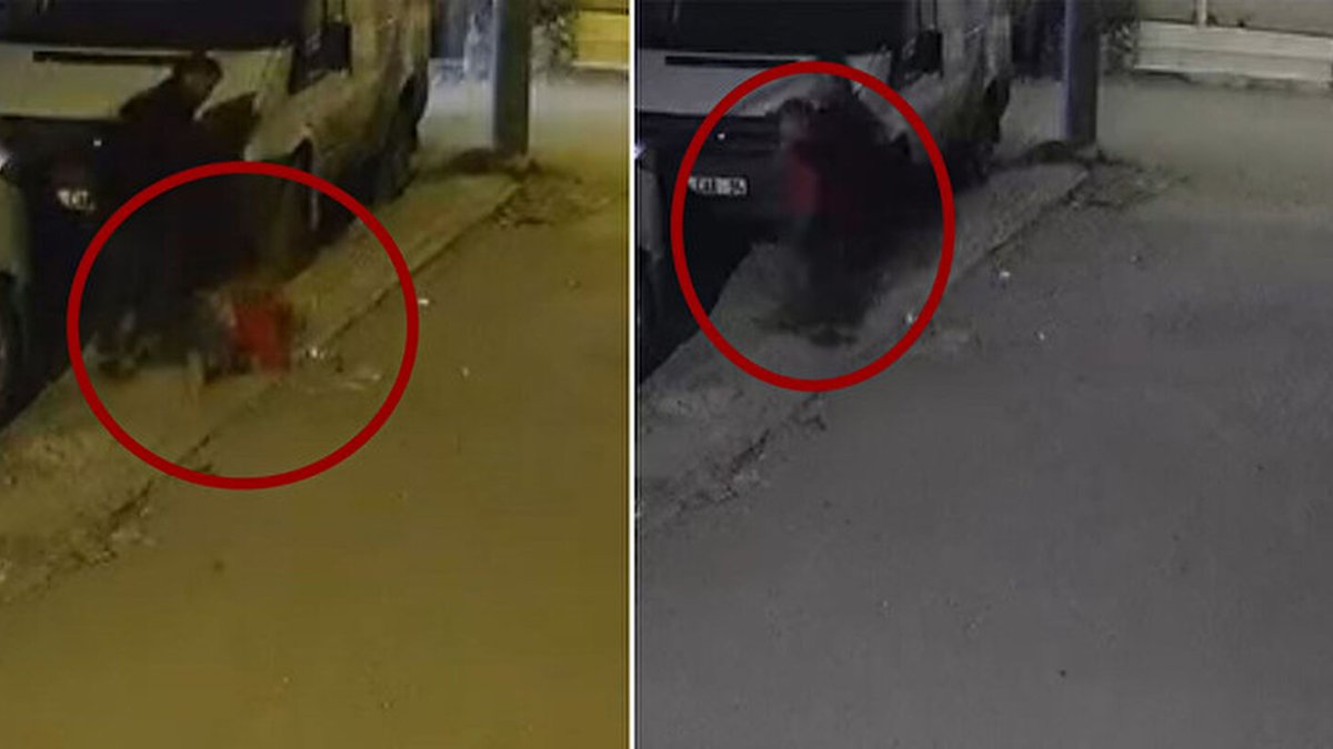 Çocuğunun kafasını arabaya vurup fırlatan baba hakkında yeni gelişme