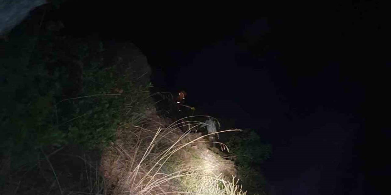 Ormanlık alanda kaybolmuştu bulundu