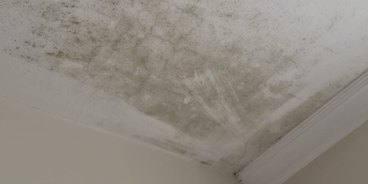 Tavandaki küfü saniyeler içinde söküyor! Sağlığı tehdit eden küfü yok eden tarif