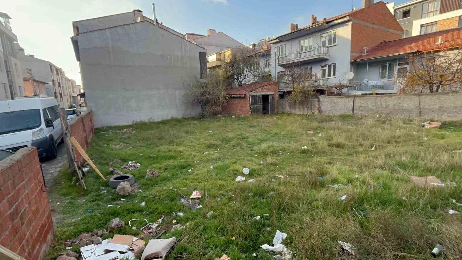 Eskişehir’de vahşet: Boş arsada 8 kedi ölü bulundu