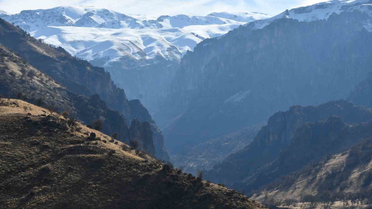 Şırnak'ta terörden temizlenen bölgede keşfedildi: Gören hayret ediyor
