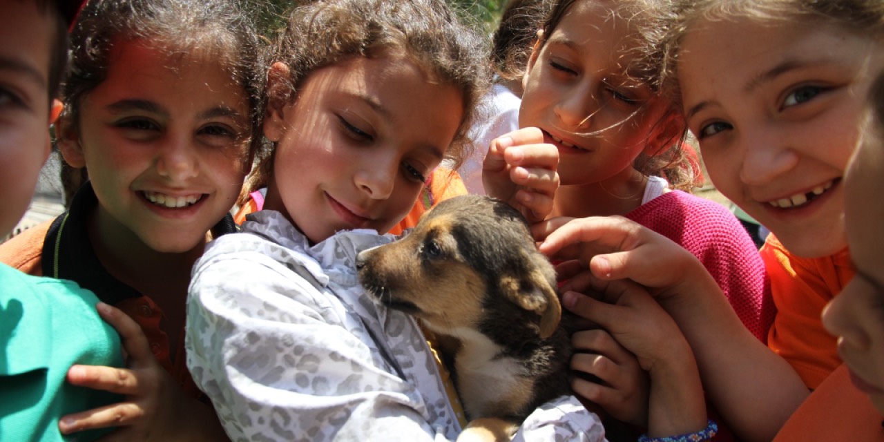 Karşıyaka Belediyesi'nden 1 yılda 40 bin sokak hayvanına hizmet