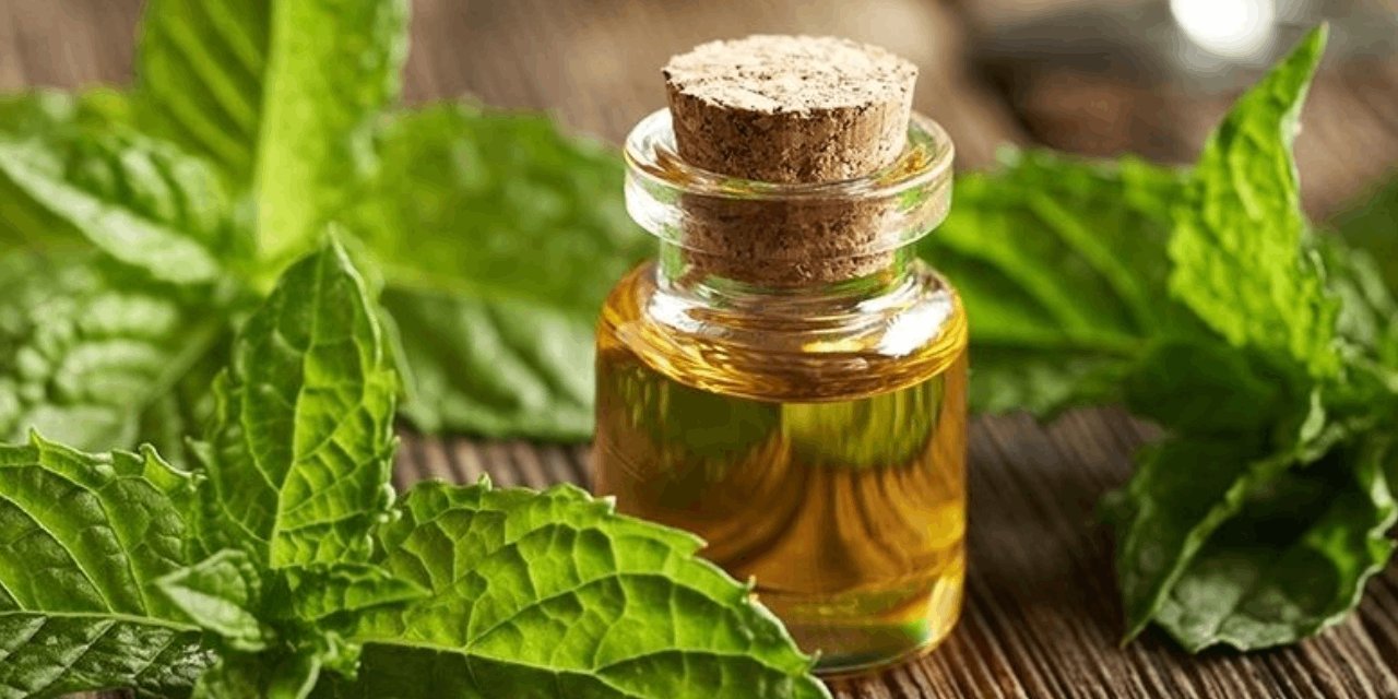 Mucize şişe! Nane yağı ne işe yarıyor? Hangi kullanım hataları tehlikeli?