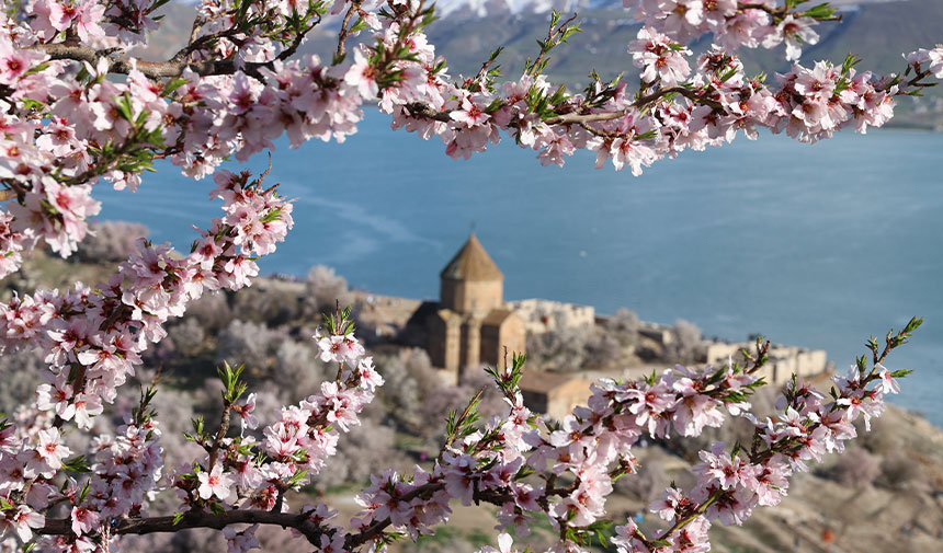 Akdamar Adası çiçeklerle renklendi