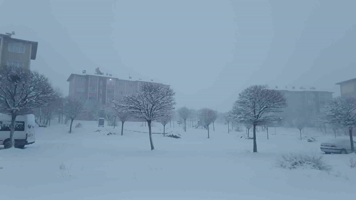 Van'da kar yağışı hayatı felç etti: 569 yol kapalı, uçuşlar iptal