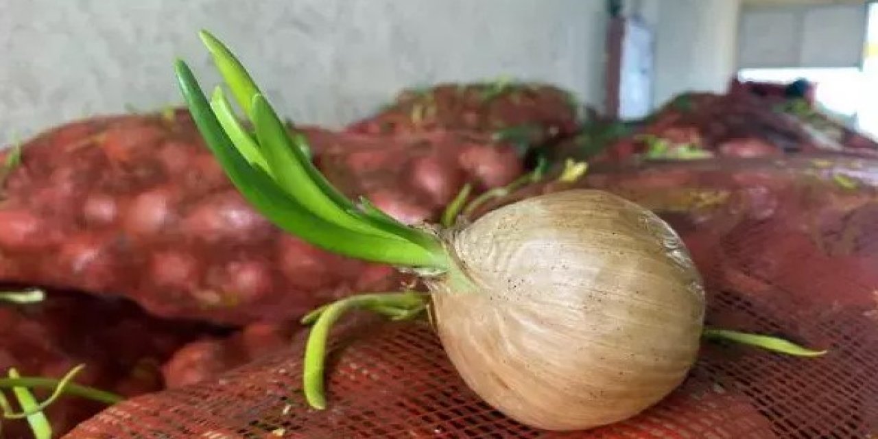 Soğan israfını bitiren yöntem: Aylarca taze kalıyor