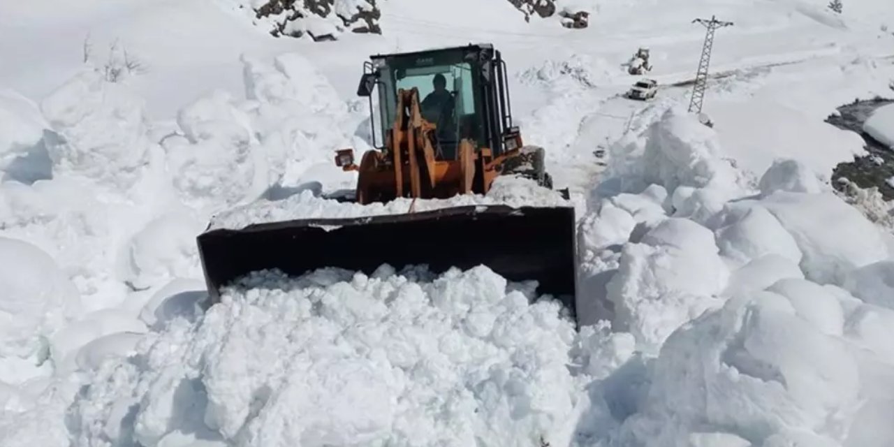 Artvin'de çığ düştü! 6 çobandan 3'ü çığ altında kaldı