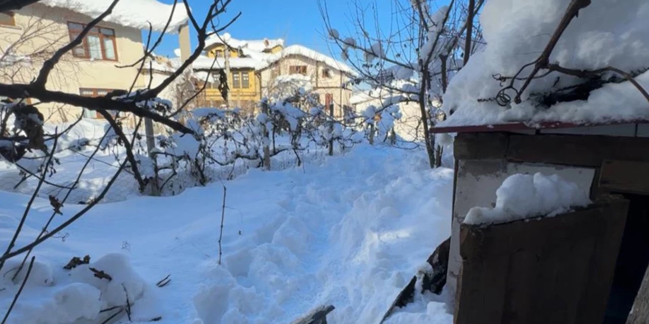 Karabük'te 'soğuk faciası' iddiası: 80 yaşındaki kadın bahçede ölü bulundu