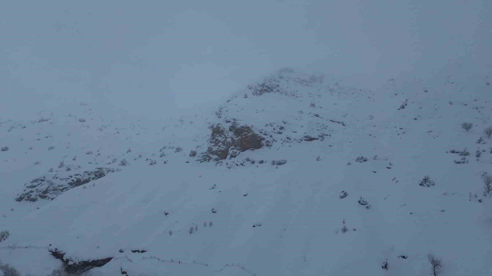 Batman'da çığ felaketi: 45 küçükbaş hayvan telef oldu