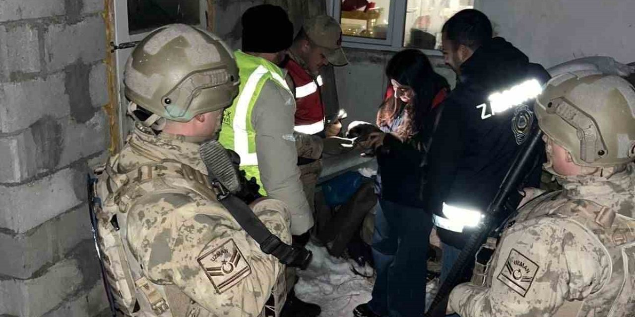 Tunceli'de yavru köpeğe eziyet