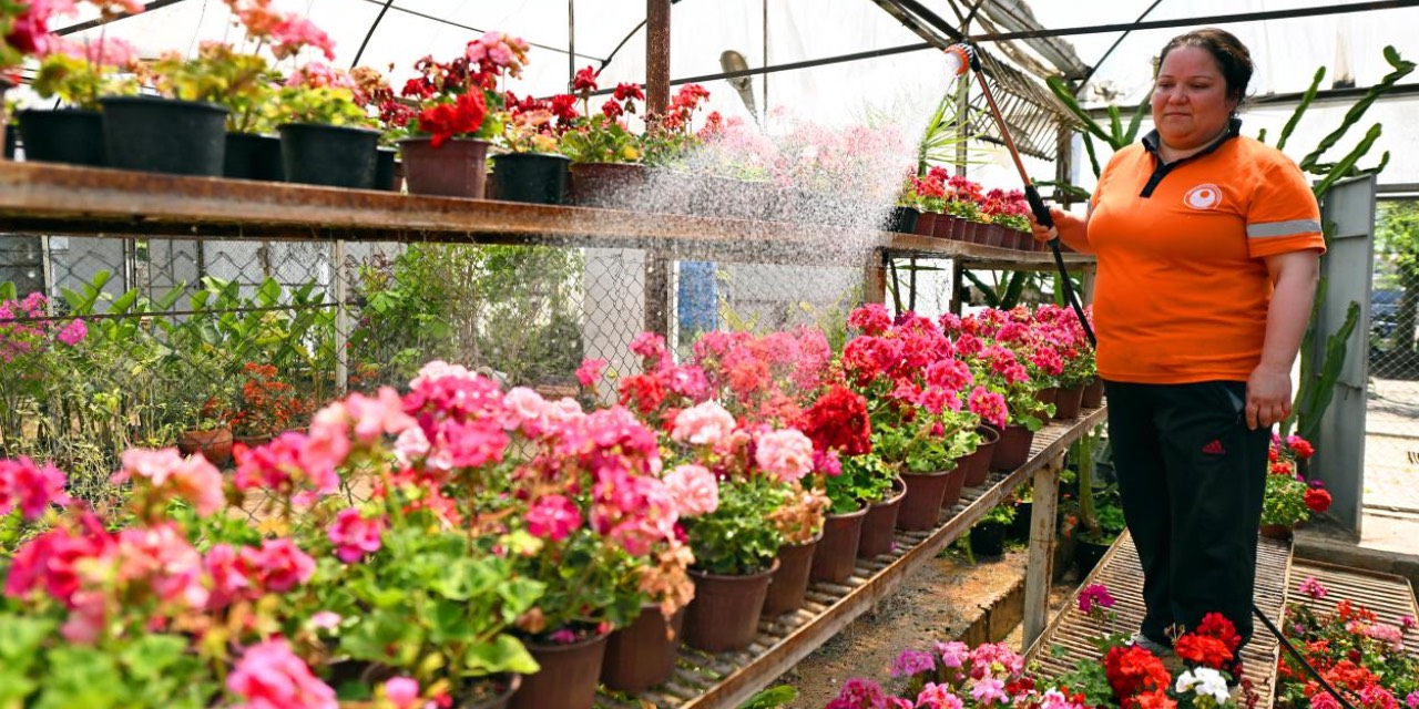 Mersin’de yeşil alanlara 2025’te kapsamlı bakım ve yenileme