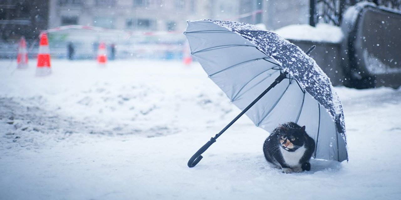 Kar gerçekten beyaz mı? Kış mevsimine dair şaşırtan 9 bilimsel gerçek
