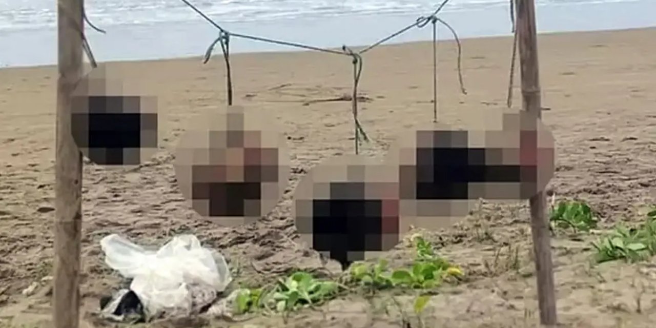 Ülkenin sahilinde 5 kesik insan başı asılı halde bulundu: Tehdit mesajı yazıldı